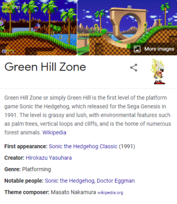 Green hill zone Sonic power up Google trick